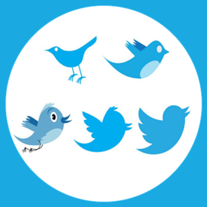 Twitter Perfect Logo Design